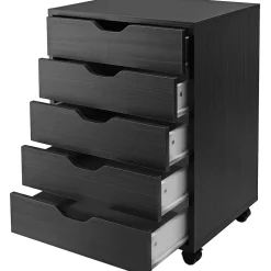 Winsome Storage Cabinets<Halifax 5-Drawer Storage Cabinet, Black (20519)