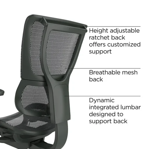 Workplace 2.0 Office Chairs<Workplace2.0 Lawton Ergonomic Mesh Swivel Task Chair, Black (UN62655)