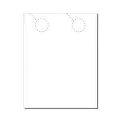 Zapco Business Cards<2-Up Door Hanger, 8.5" x 11", Vellum Bristol White, 250/Pack (204-250FWH42)